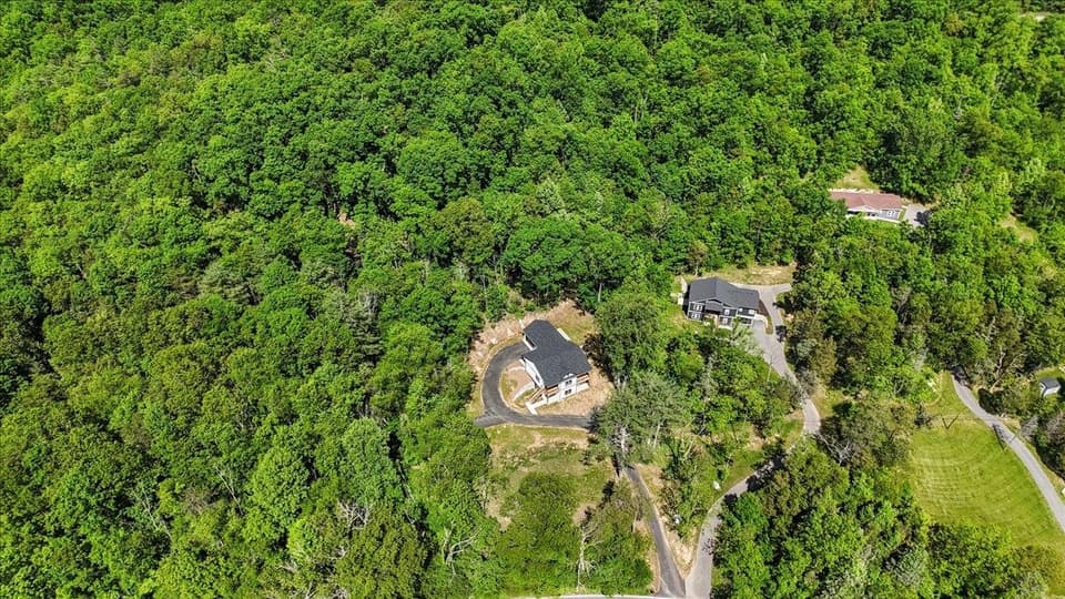 2091 Ellett Road, photo 11 of 40