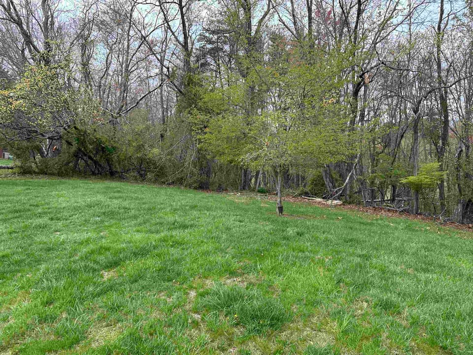 325 Mulberry Drive, photo 7 of 34