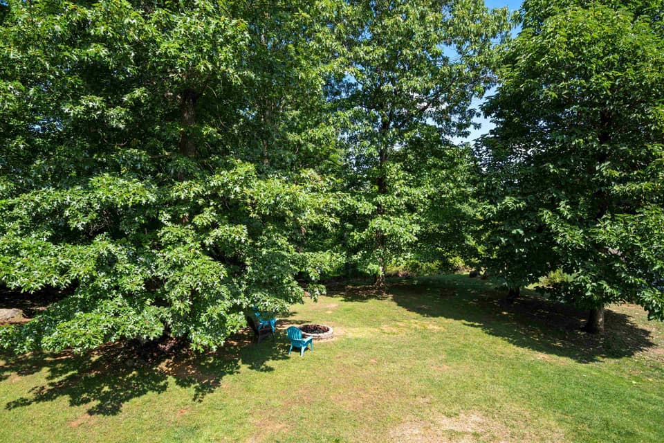 925 Brooklyn Avenue, photo 15 of 40