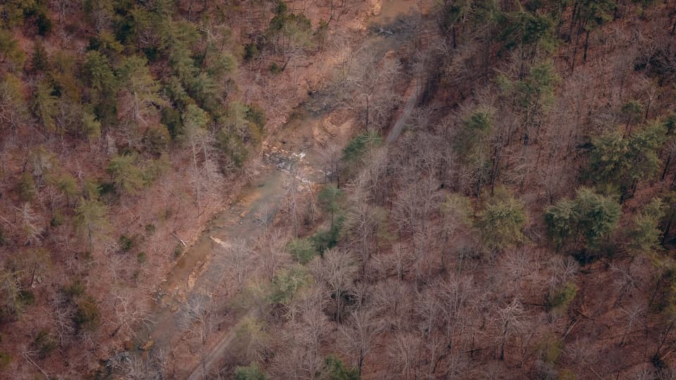 797 Elliott Creek Rd, photo 3 of 15