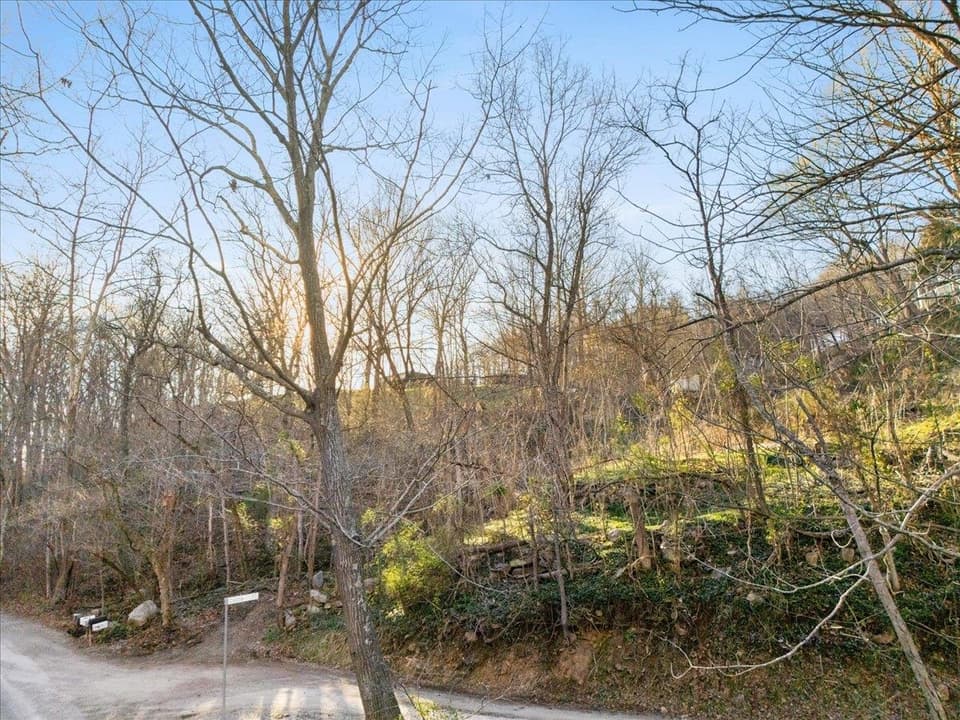 TBD Castle Road, photo 13 of 18