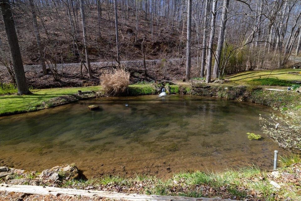 1256 Falling Branch Road, photo 20 of 35