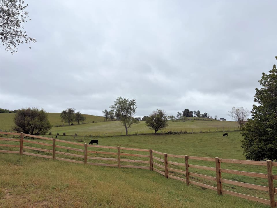 2466 Meadow Creek Road, photo 10 of 10
