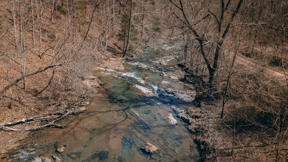797 Elliott Creek Rd, photo 10 of 15