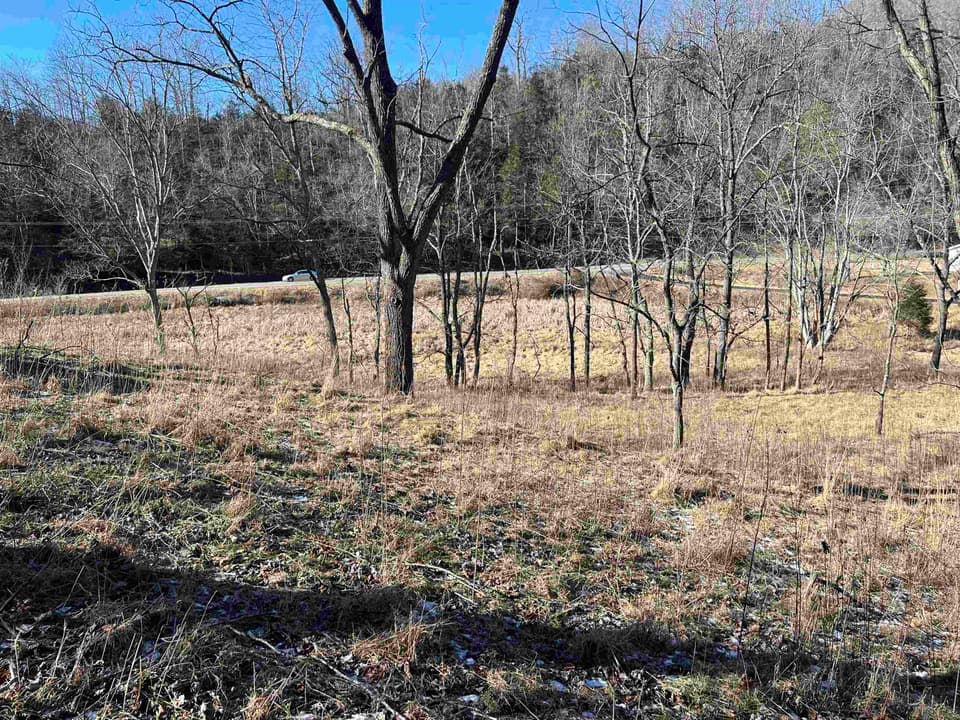 TBD Pilot Road, photo 8 of 17
