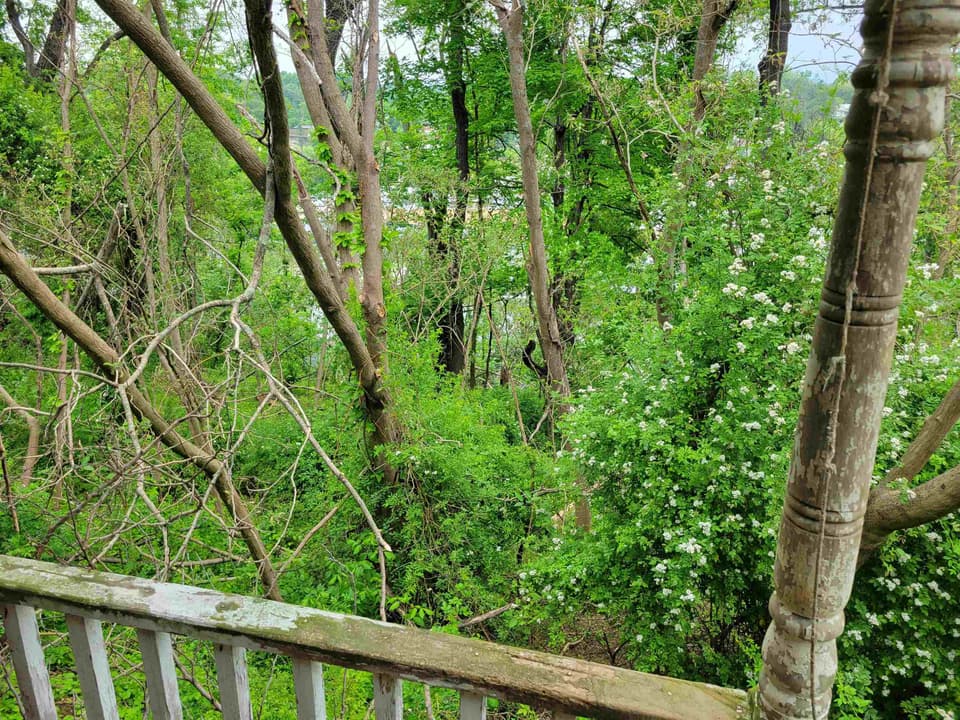 570 Schaeffer Drive, photo 7 of 24