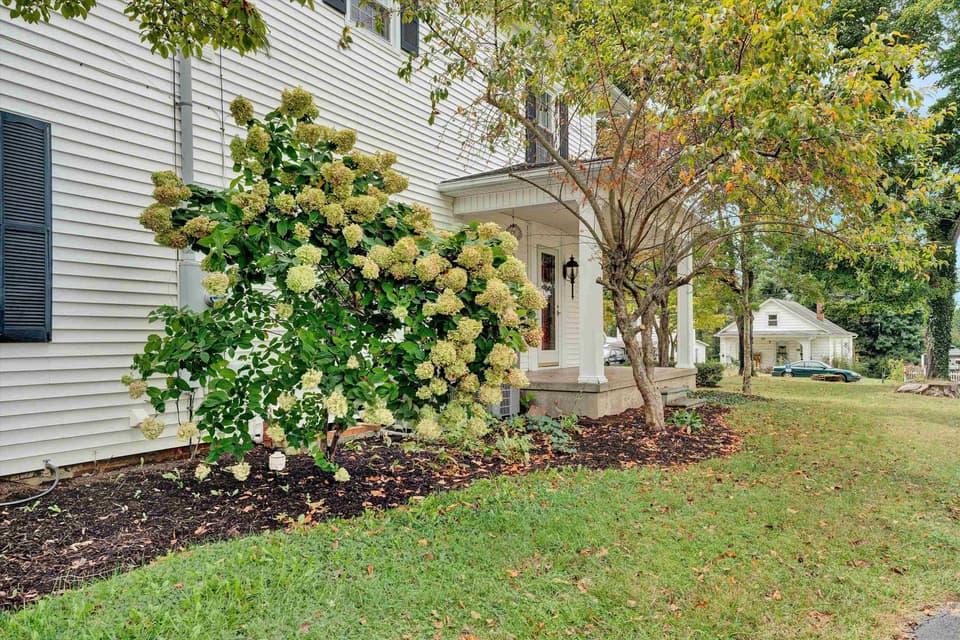 115 Lester Street, photo 5 of 40