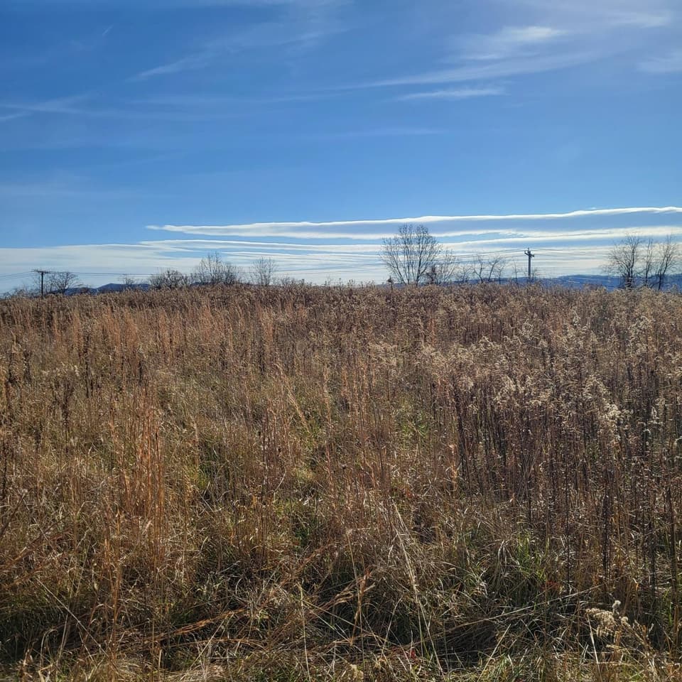 0 Riner Road, photo 5 of 7