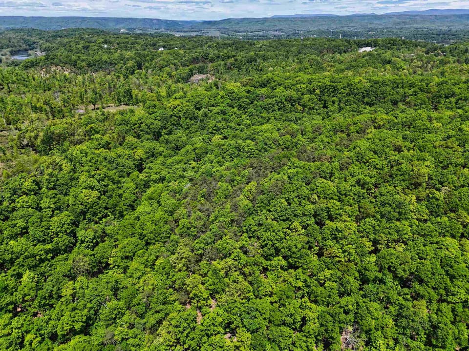 TBD Peppers Ferry Road, photo 14 of 30