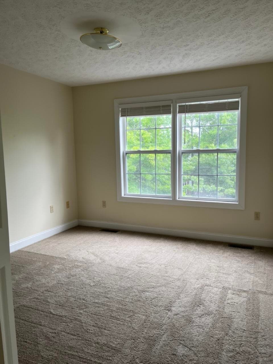 315 Silver Leaf Drive, photo 18 of 35