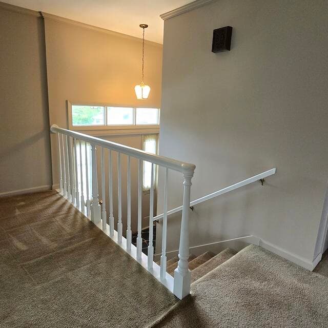 290 Briarwood Drive, photo 25 of 32