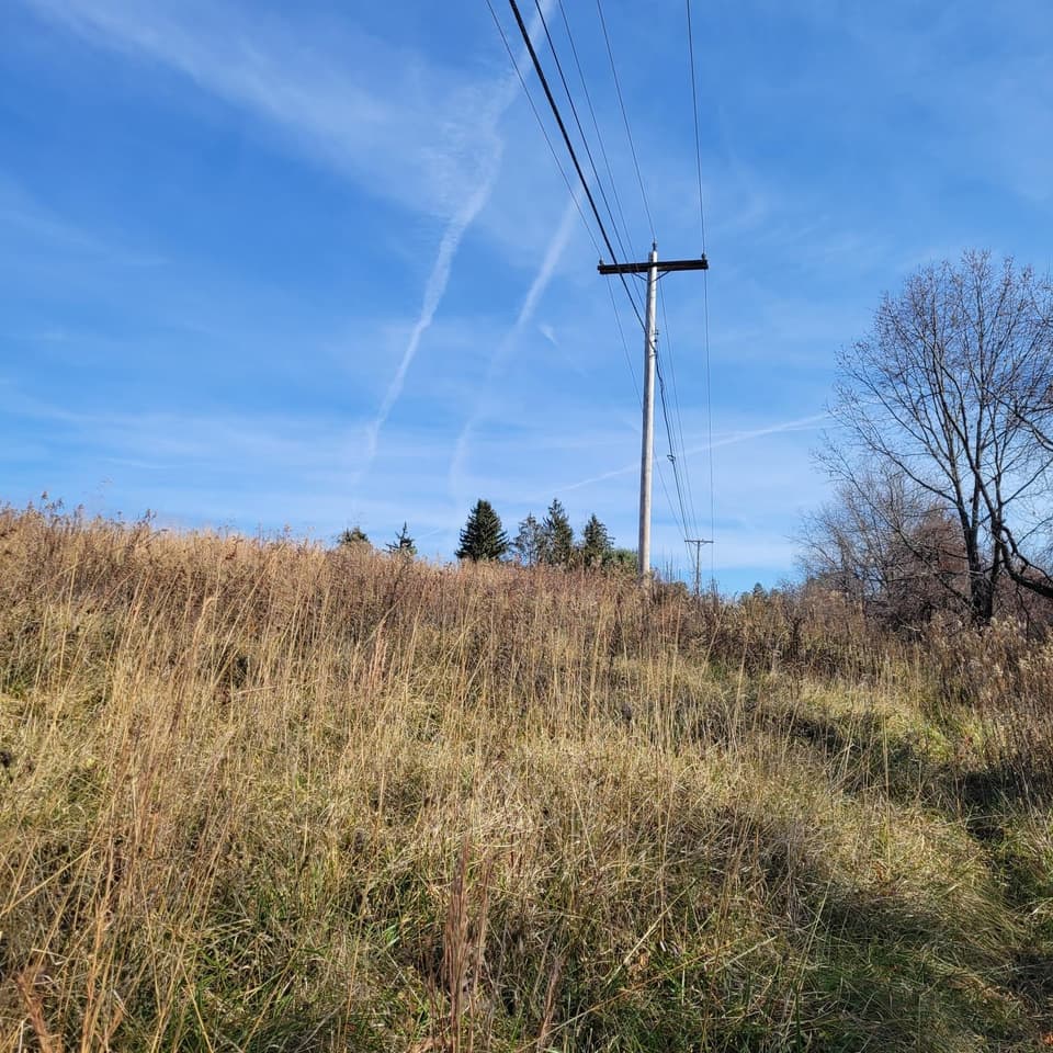 0 Riner Road, photo 7 of 7