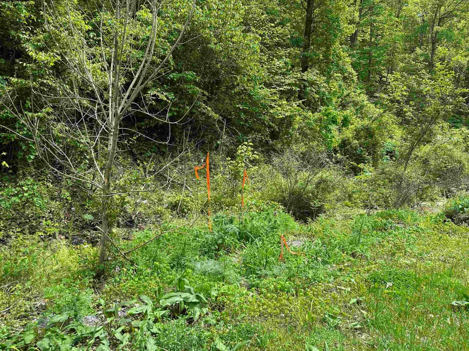 TBD Pilot Road, photo 9 of 11