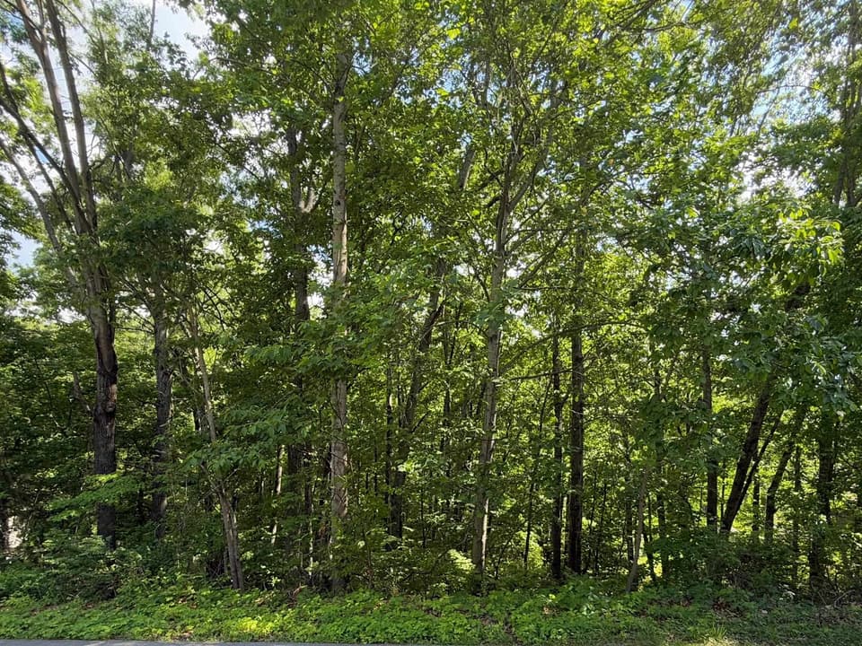 1235 Sherwood Drive, photo 3 of 3