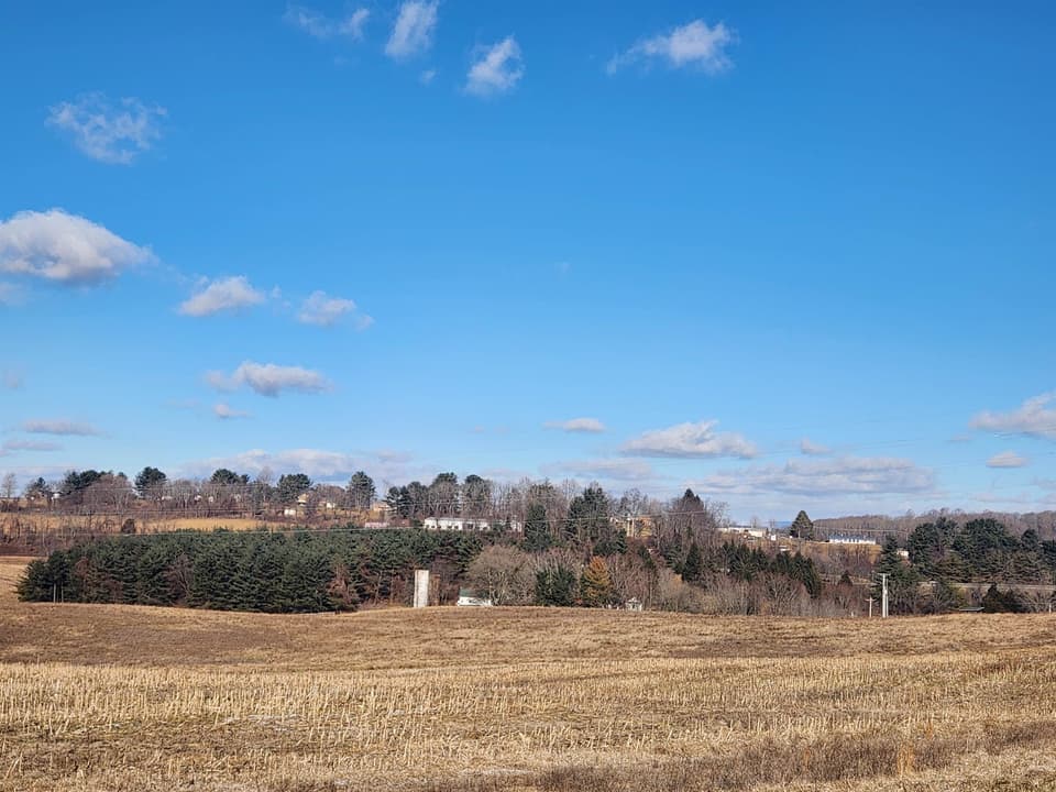 TBD Flanagan Drive, photo 36 of 39