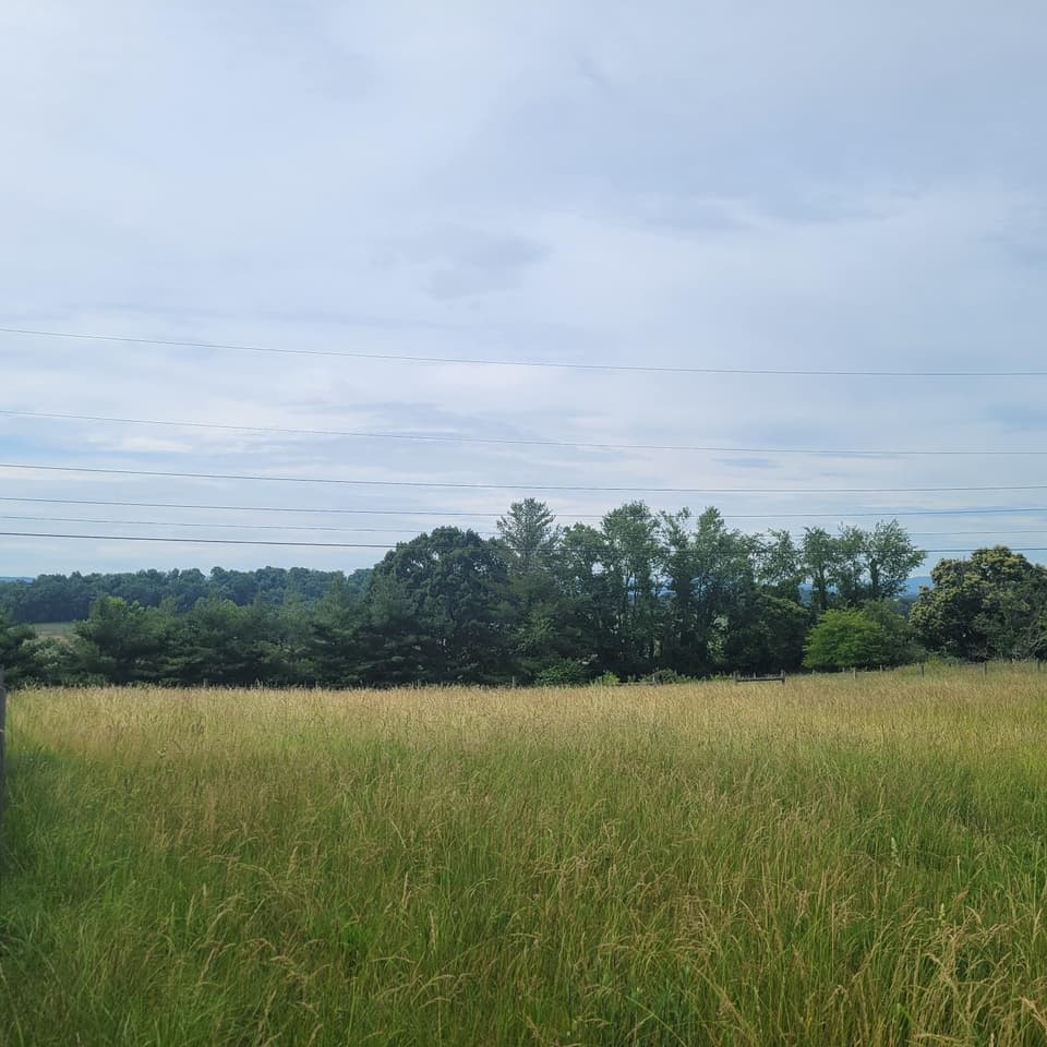 0 Mud Pike Road, photo 5 of 5