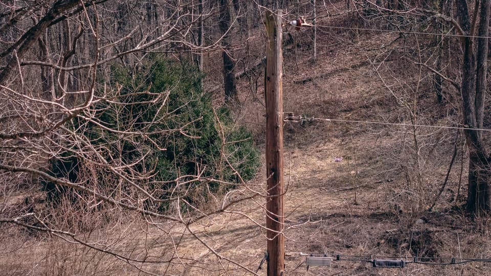 797 Elliott Creek Rd, photo 4 of 15