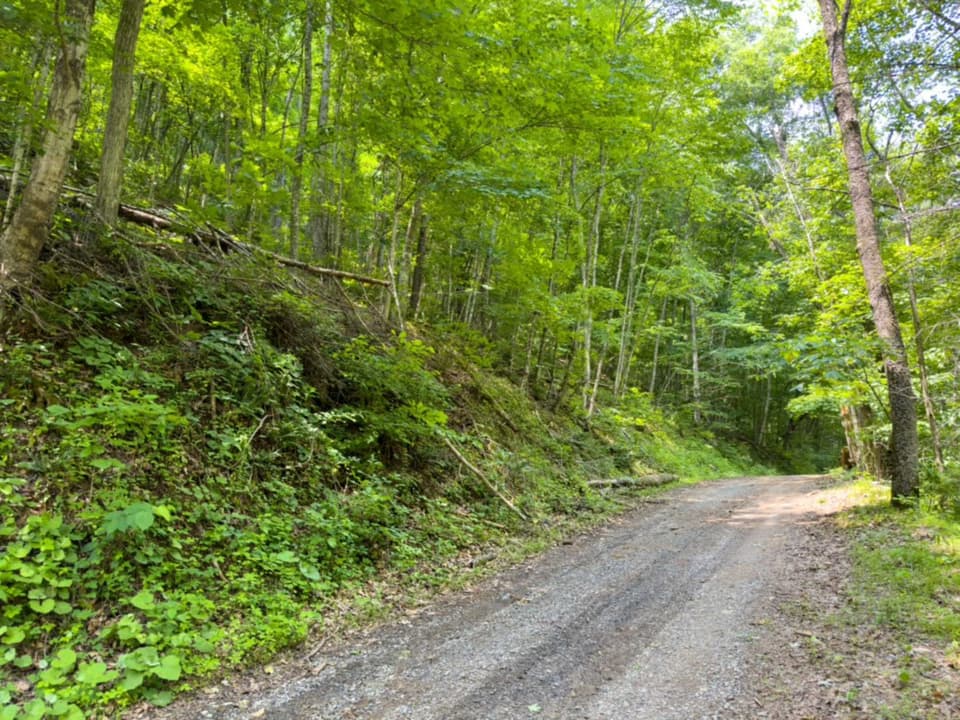 TBD Elliott Creek Road, photo 4 of 4