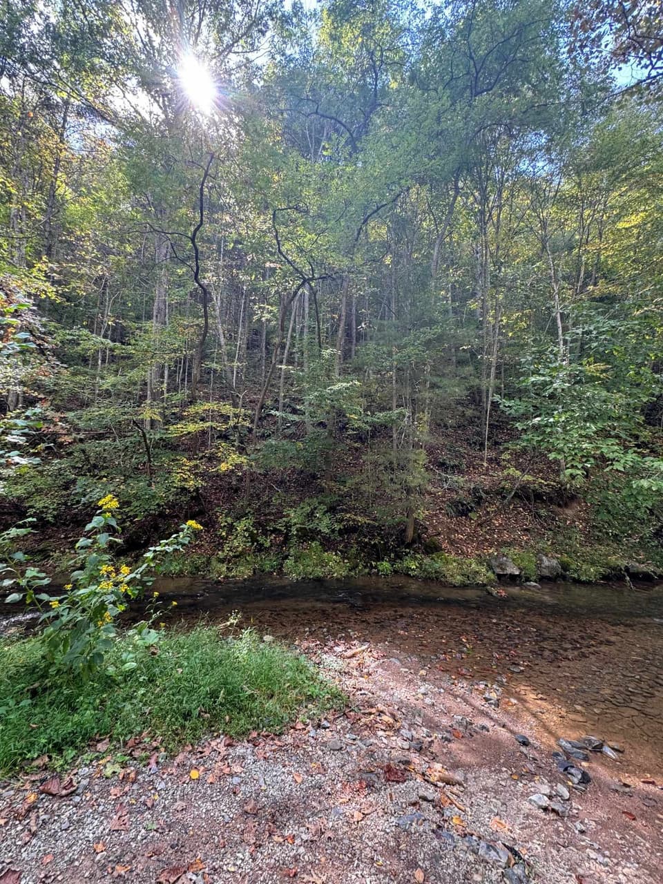 TBD Elliott Creek Road, photo 2 of 4
