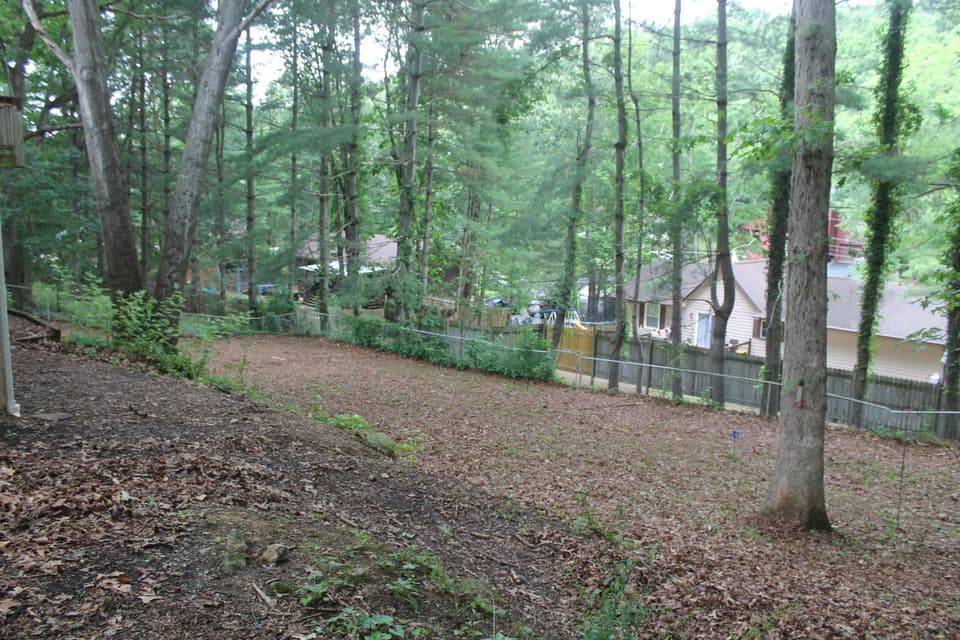 1160 Scott St, photo 7 of 21