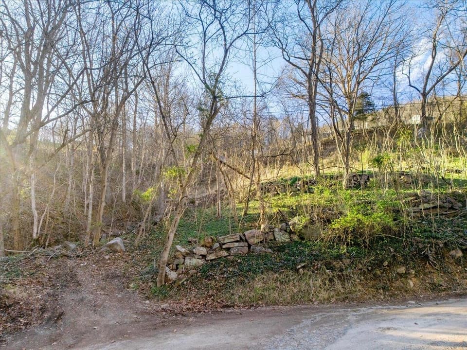 TBD Castle Road, photo 15 of 18