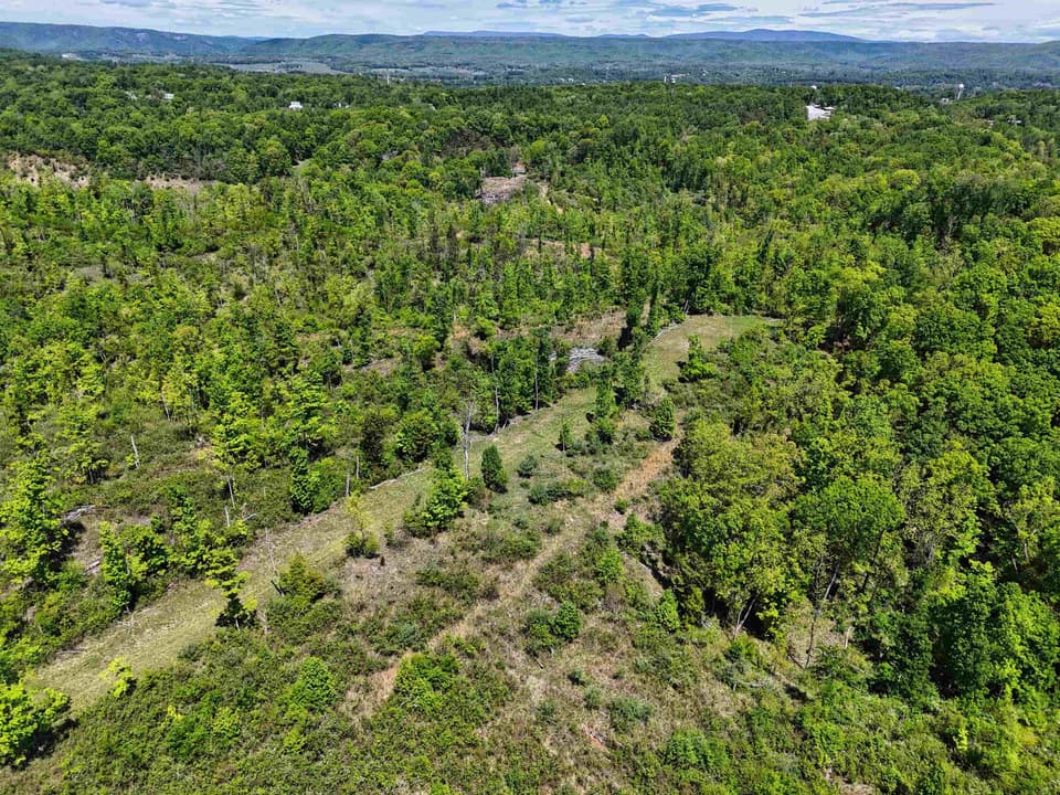TBD Peppers Ferry Road, photo 15 of 30