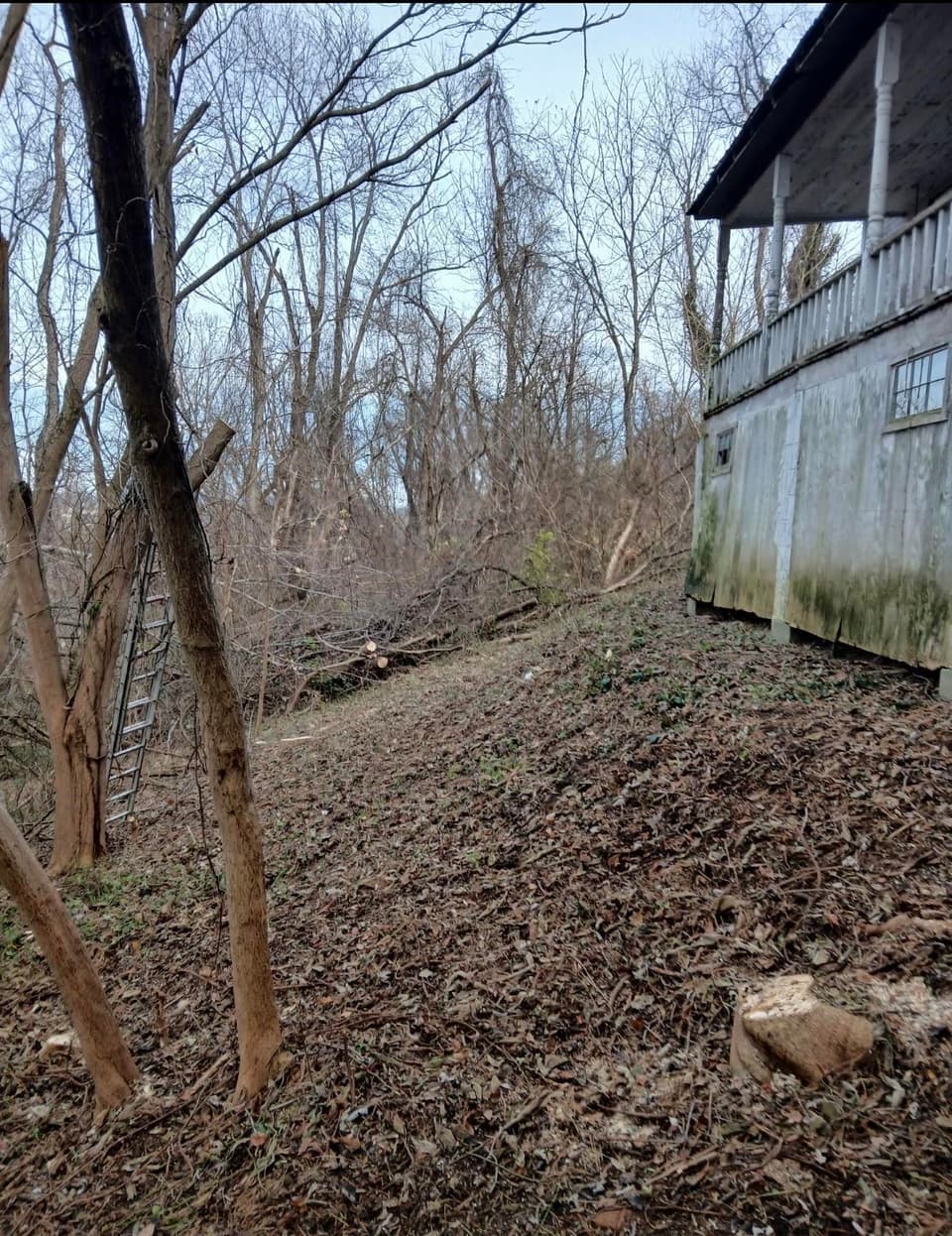 570 Schaeffer Drive, photo 6 of 13