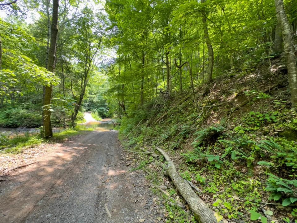 TBD Elliott Creek Road, photo 3 of 4
